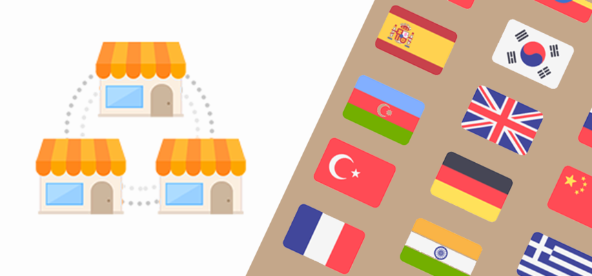 Shopify Multi-Store vs Shopify Multilingual Store