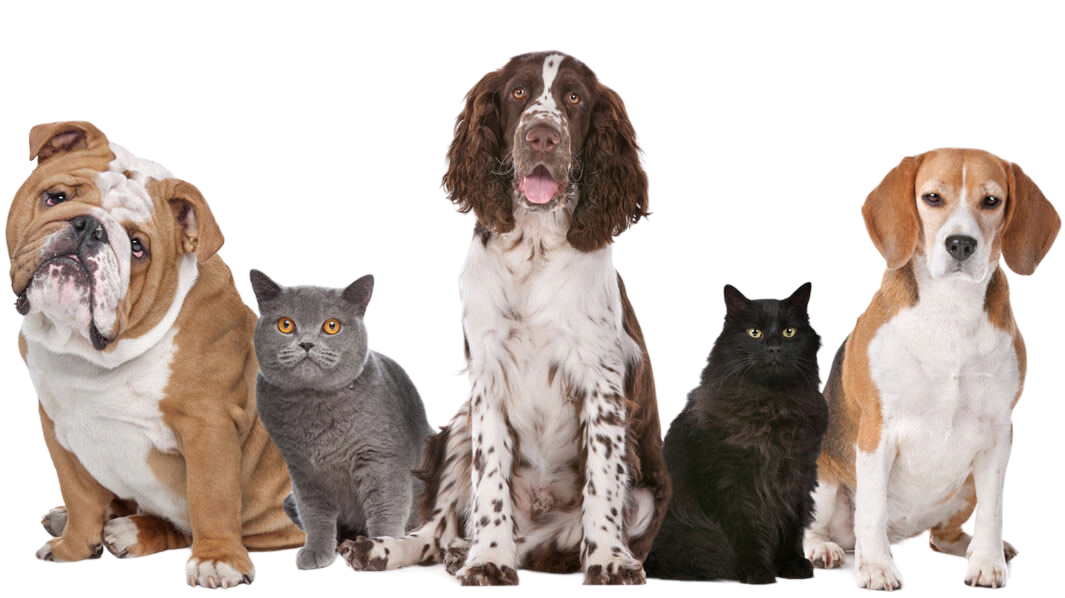 PetDoors